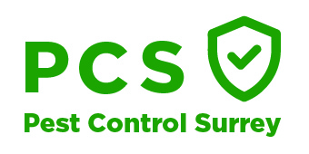 Pest Control Surrey